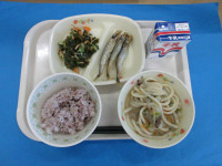 IMG_1361[1]