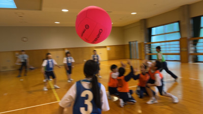 0e02e638-8e25-4d43-8ea8-e3b114821761-1_all_4499